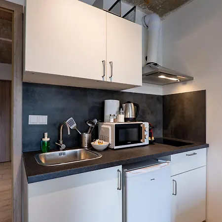 Brand New Penthouse #39 Close To Center With Free Parking